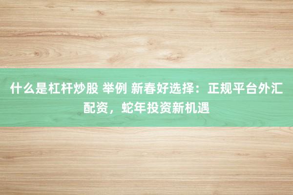 什么是杠杆炒股 举例 新春好选择：正规平台外汇配资，蛇年投资新机遇