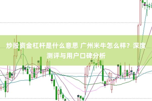 炒股资金杠杆是什么意思 广州米牛怎么样？深度测评与用户口碑分析