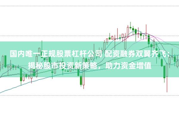 国内唯一正规股票杠杆公司 配资融券双翼齐飞：揭秘股市投资新策略，助力资金增值