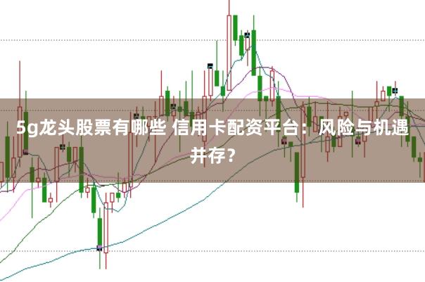5g龙头股票有哪些 信用卡配资平台：风险与机遇并存？