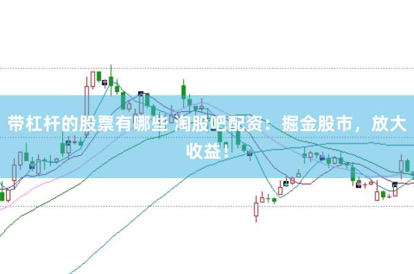 带杠杆的股票有哪些 淘股吧配资：掘金股市，放大收益！