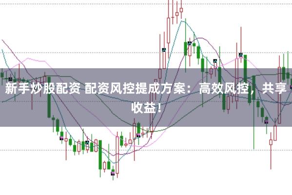 新手炒股配资 配资风控提成方案：高效风控，共享收益！