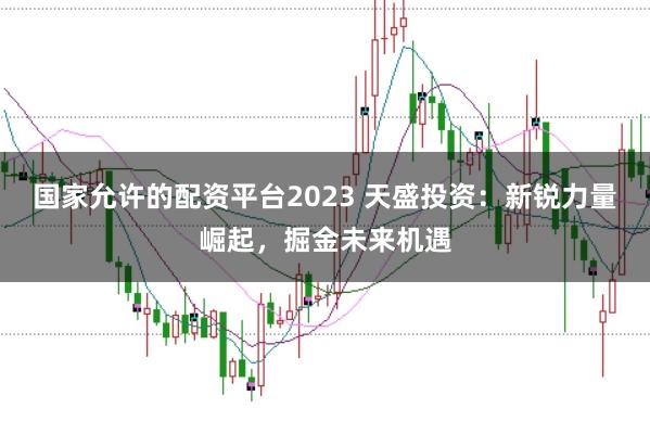国家允许的配资平台2023 天盛投资：新锐力量崛起，掘金未来机遇