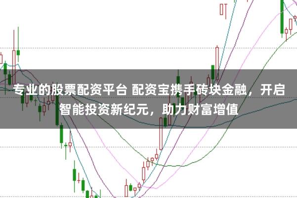 专业的股票配资平台 配资宝携手砖块金融，开启智能投资新纪元，助力财富增值