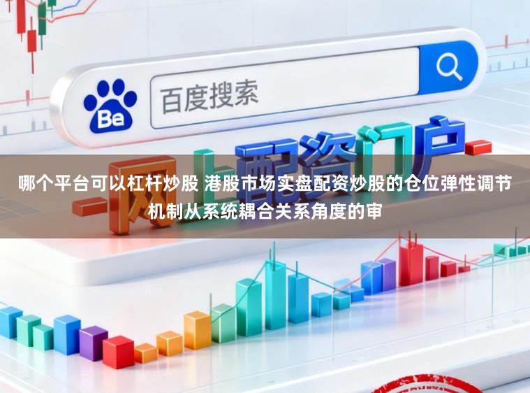 哪个平台可以杠杆炒股 港股市场实盘配资炒股的仓位弹性调节机制从系统耦合关系角度的审