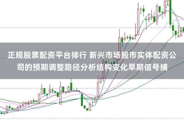 正规股票配资平台排行 新兴市场股市实体配资公司的预期调整路径分析结构变化早期信号捕