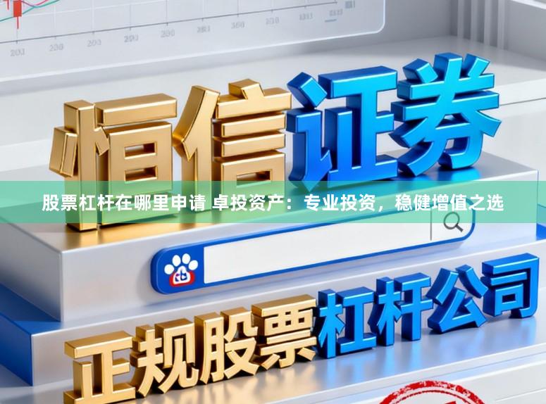 股票杠杆在哪里申请 卓投资产：专业投资，稳健增值之选